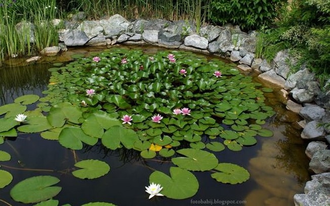 ideas para un pequeño jardín