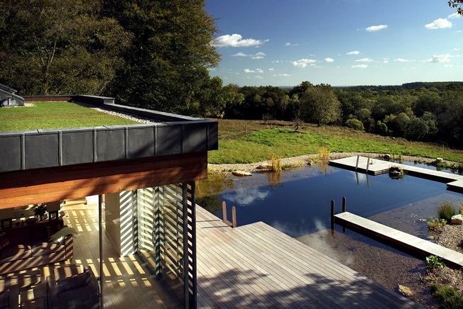 New Forest House by PAD studio